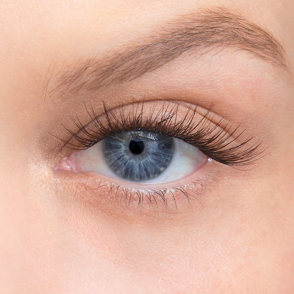 Product image 97