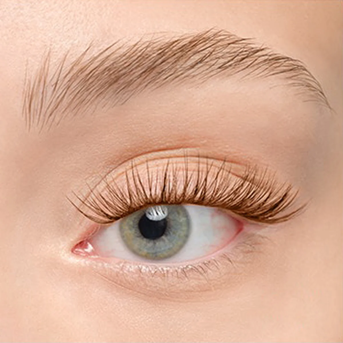 Product image 184