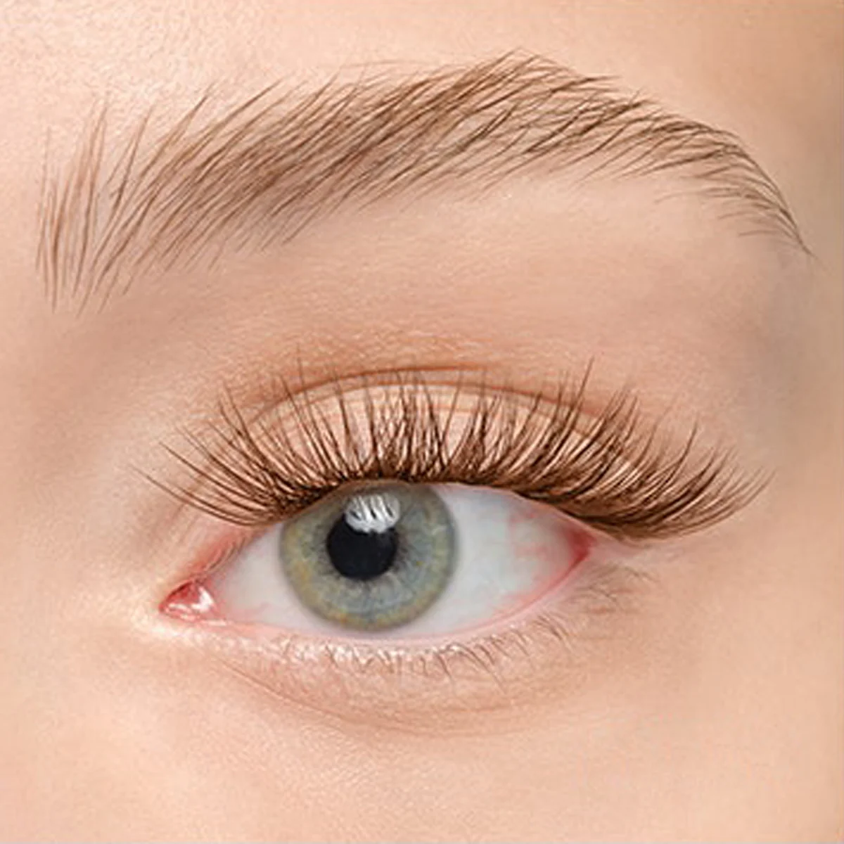 Product image 195